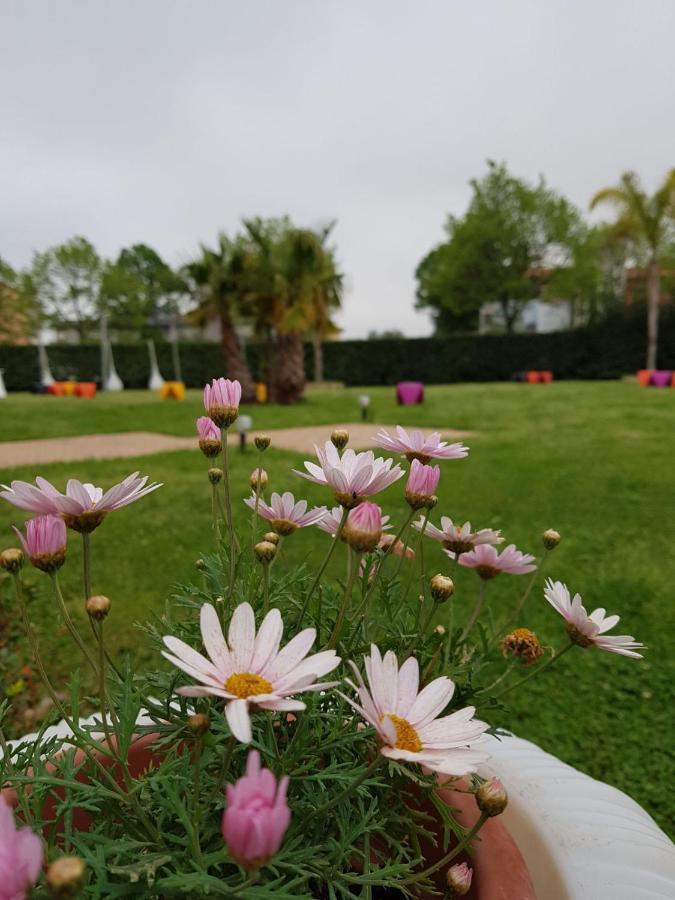 I Giardini Del Novecento Hotel Lamezia Terme Kültér fotó